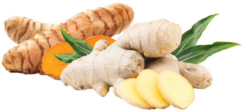 Turmeric and ginger, some of the best foods to improve immunity